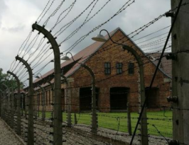 緊線器參與監獄外圍高壓金屬網線安裝工作